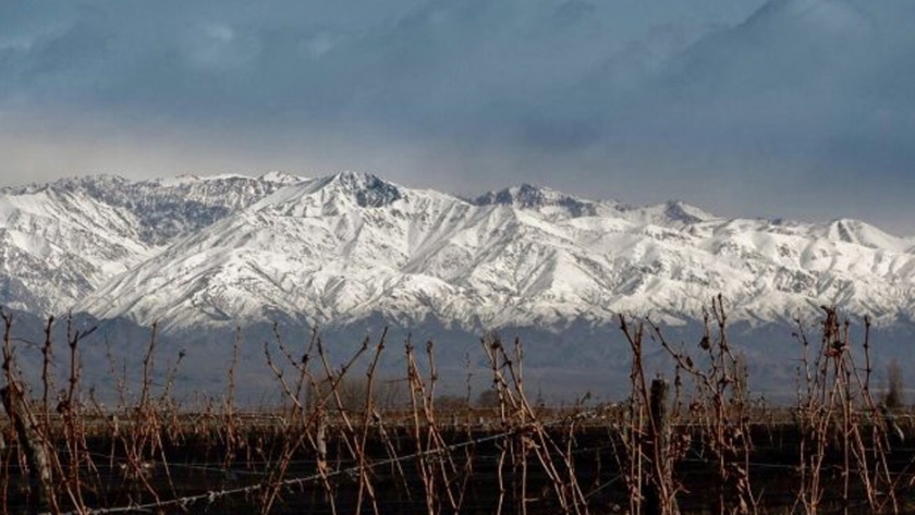 Mendoza trabaja para que el enoturismo vuelva a ser la estrella