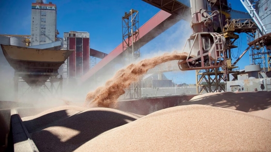 El Consejo Agroindustrial respaldó un proyecto para ampliar los incentivos a las inversiones productivas