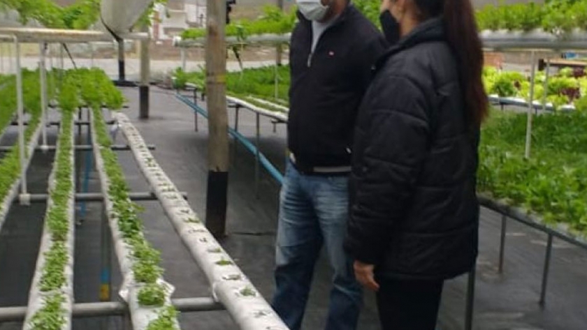 "Compre chaqueño": el ministro Lifton recorrió innovador emprendimiento hortícola en Colonia Benítez