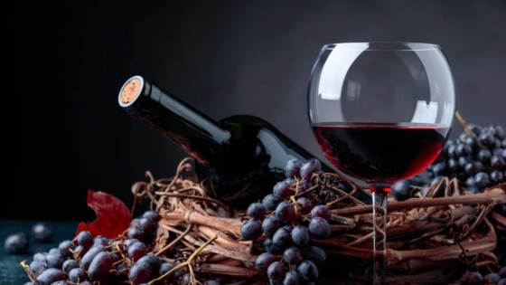 La vitivinicultura mendocina enfrenta su mayor crisis en una década: caen precios, consumo y rentabilidad