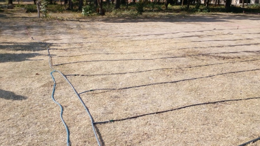 Seguimiento y monitoreo del proyecto red de huertas agroecológicas escolares
