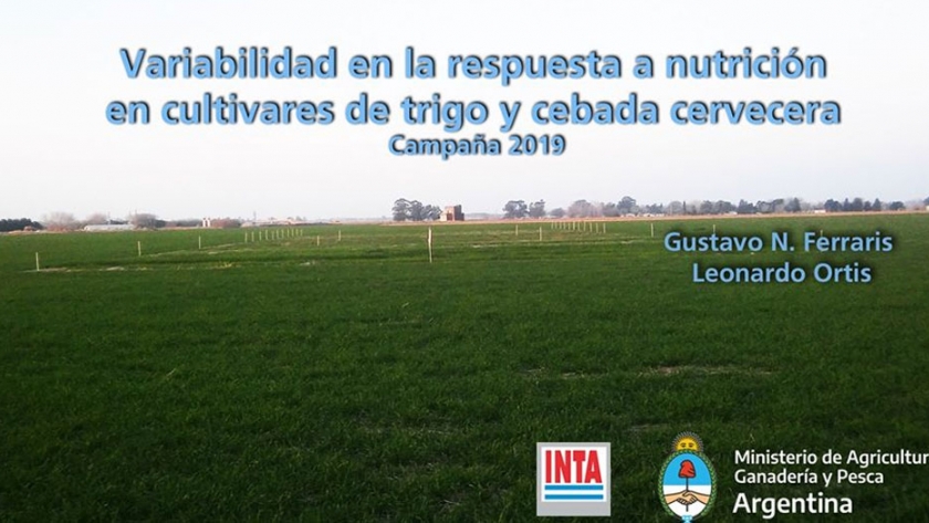 Variabilidad en la respuesta a nutrición en cultivares de trigo y cebada cervecera