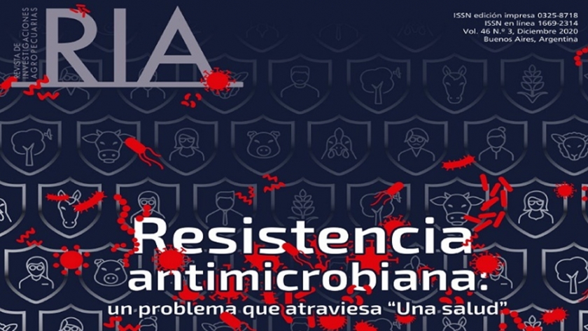 Revista RIA publicó su número de diciembre