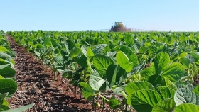 Futuros agropecuarios como herramienta clave en tiempos de volatilidad