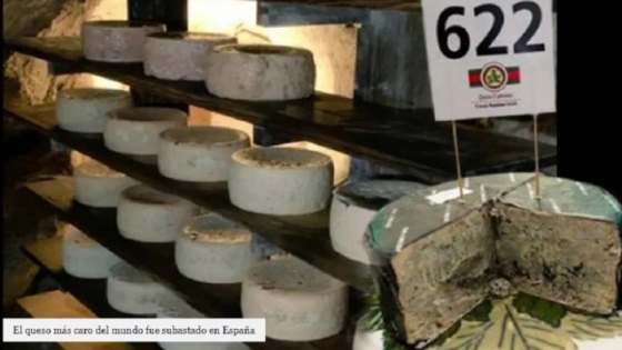 El queso más caro del mundo
