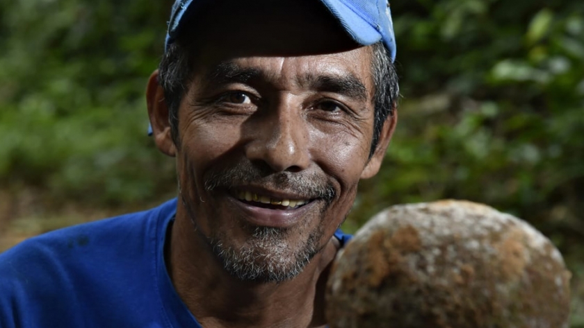 La castaña de la Reserva Manuripi logra certificación internacional beneficiando a sus comunidades