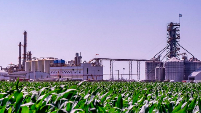 Biocombustibles: finalmente, el Gobierno actualizará el precio del etanol de maíz