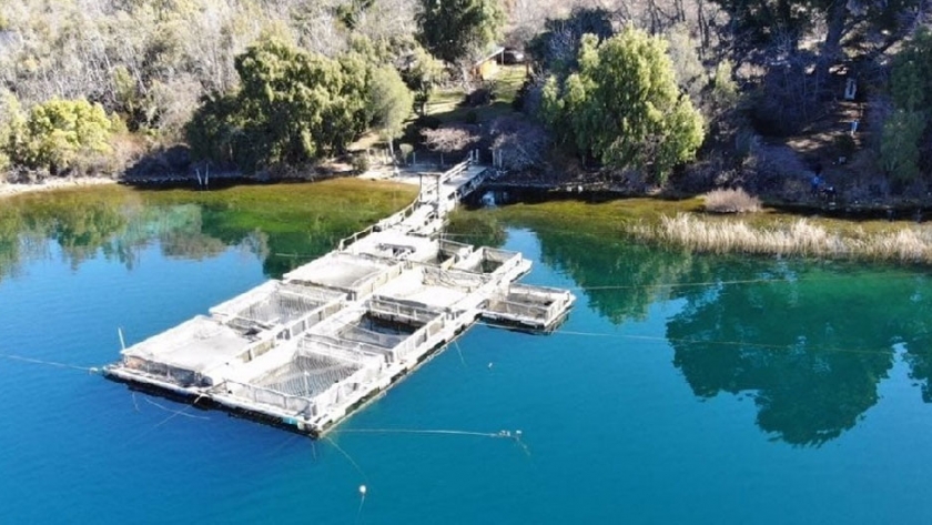 Río Negro trabaja para potenciar la acuicultura en la provincia