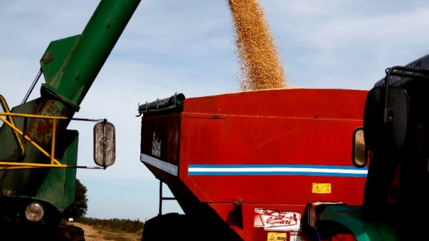 Agricultura efectivizó los pagos del Programa de Fortalecimiento para Pequeños y Medianos Productores de Soja y Maíz