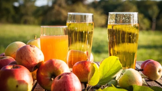 Orujo de manzana incorporado al Código Alimentario: un paso clave para la industria de jugos
