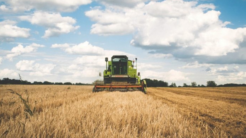 La agropecuaria sostiene a la economía brasileña en plena pandemia
