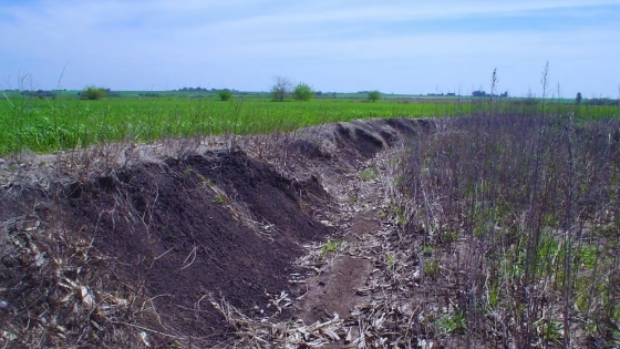 Entre terrazas y caminos: el plan entrerriano que protege el suelo y mejora la infraestructura rural