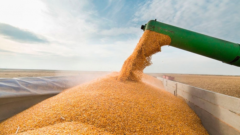 Cayó casi 9% el ingreso de dólares por las liquidaciones del agro en enero