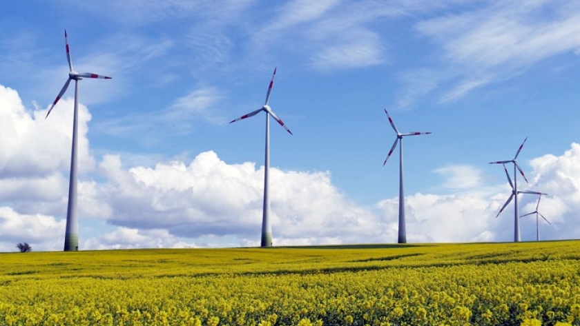 Energía eólica en Argentina: Un viento renovable que impulsa el futuro