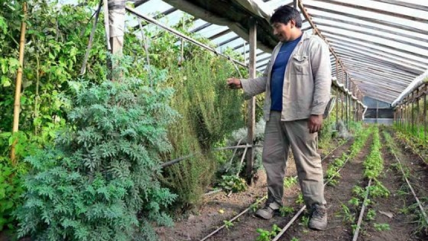 IDR avanza en la entrega de microcréditos para emprendimientos productivos
