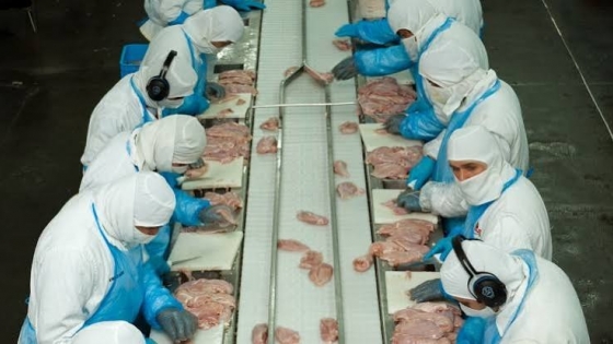 Corea del Sur vuelve a importar carne aviar argentina tras una evaluación sanitaria