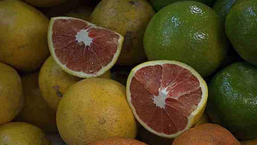 Sistema alimentario debe privilegiar la agroecología