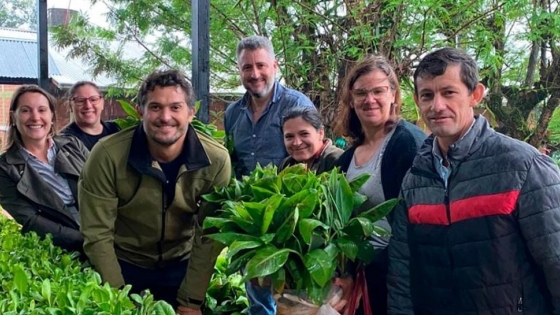 Misiones refuerza la producción rural con la entrega de plantines y créditos a tasa 0%