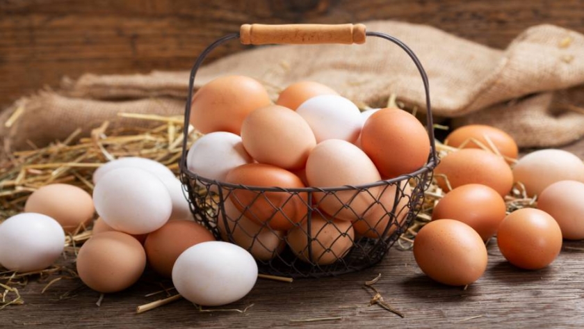 Huevos: precios congelados y costos en aumento, la complicada situación de las granjas