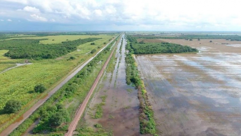 Santiago del Estero, Santa Fe y Chaco buscan recuperar 3 millones de hectáreas