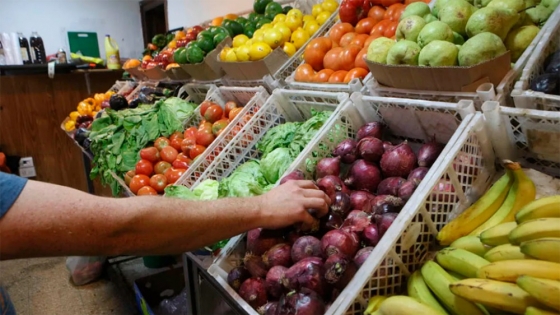La nueva tabla nutricional: una guía basada en ciencia que prioriza la calidad del alimento sobre modas dietéticas