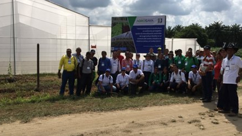Evalúan el comportamiento agronómico de ocho especies de hortalizas