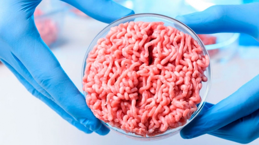 Carne cultivada: los norteamericanos están dispuestos a probarla