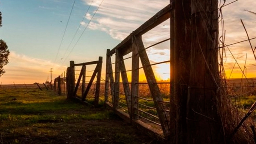 Mejora el interés por la compra de campos