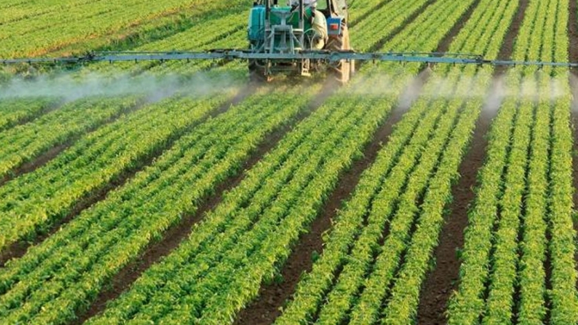 Malezas: cómo evitar el uso sostenido de herbicidas PPOs en la era del Yuyo colorado