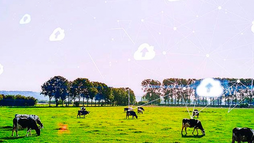 Adiós alambrado eléctrico: barreras virtuales y manejo remoto de rodeos