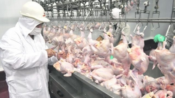 Argentina recupera mercado de carne aviar en Japón