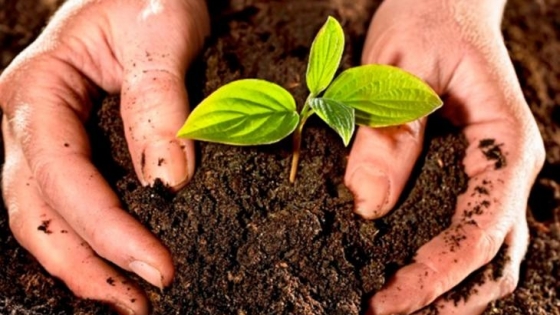 Avanzan en un plan integral para transformar residuos orgánicos en compost en Bella Vista