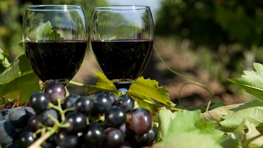 Otorgan créditos para productores vitivinícolas mendocinos