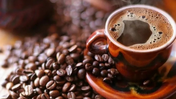 Lanzan un diplomado internacional de bioeconomía aplicada al café en Latinoamérica