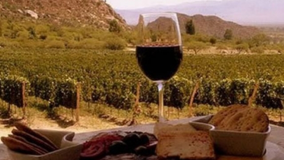 “Buscamos calidad para nuestras exportaciones de vinos”