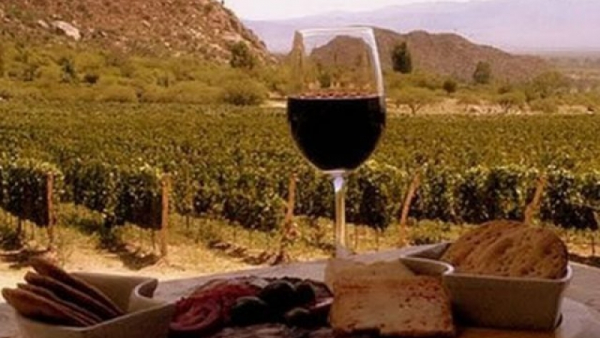 “Buscamos calidad para nuestras exportaciones de vinos”