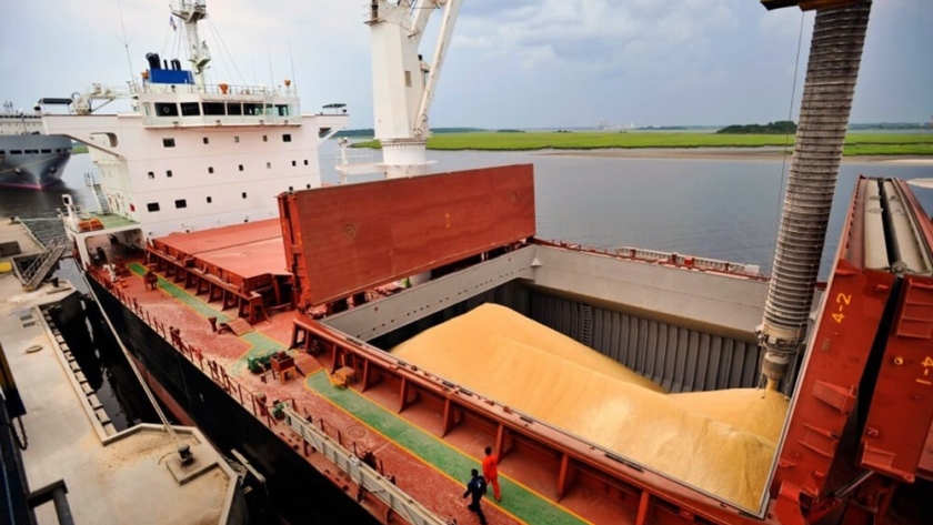 Saldo negativo para las exportaciones agroindustriales : cayeron un 30 % durante agosto