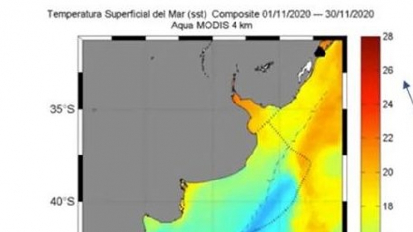 Se realizó el II taller sobre uso de imágenes satelitales en la pesquería del calamar argentino