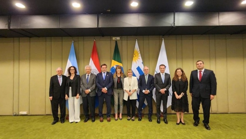 Todesca Bocco formó parte de la reunión del Grupo Mercado Común del Mercosur en Brasilia