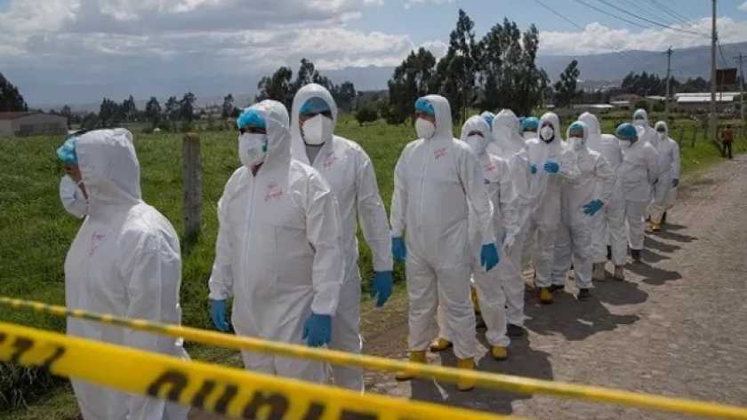 Ecuador reportó el primer caso de transmisión humana de gripe aviar