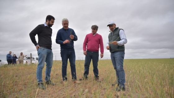 Solmi dialogó con productores del sur bonaerense y visitó zonas afectadas por la sequía