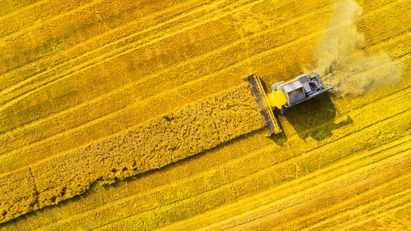 Una investigación dice que la tecnología podría aumentar el valor del sector agrícola de Australia en 20.000 millones de dólares australianos