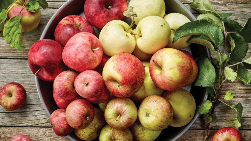 Variedades de manzanas holandesas en ensayos para ser cultivadas en Ruanda