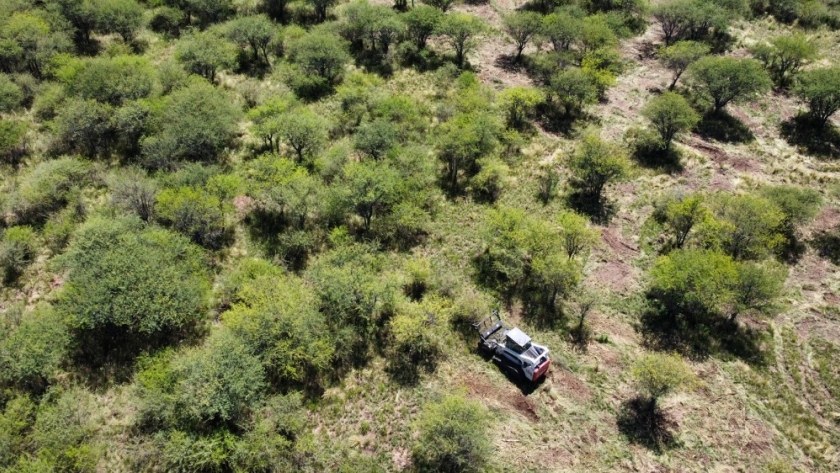 Convocatoria abierta para la presentación de Planes de Manejo y Conservación del Bosque Nativo