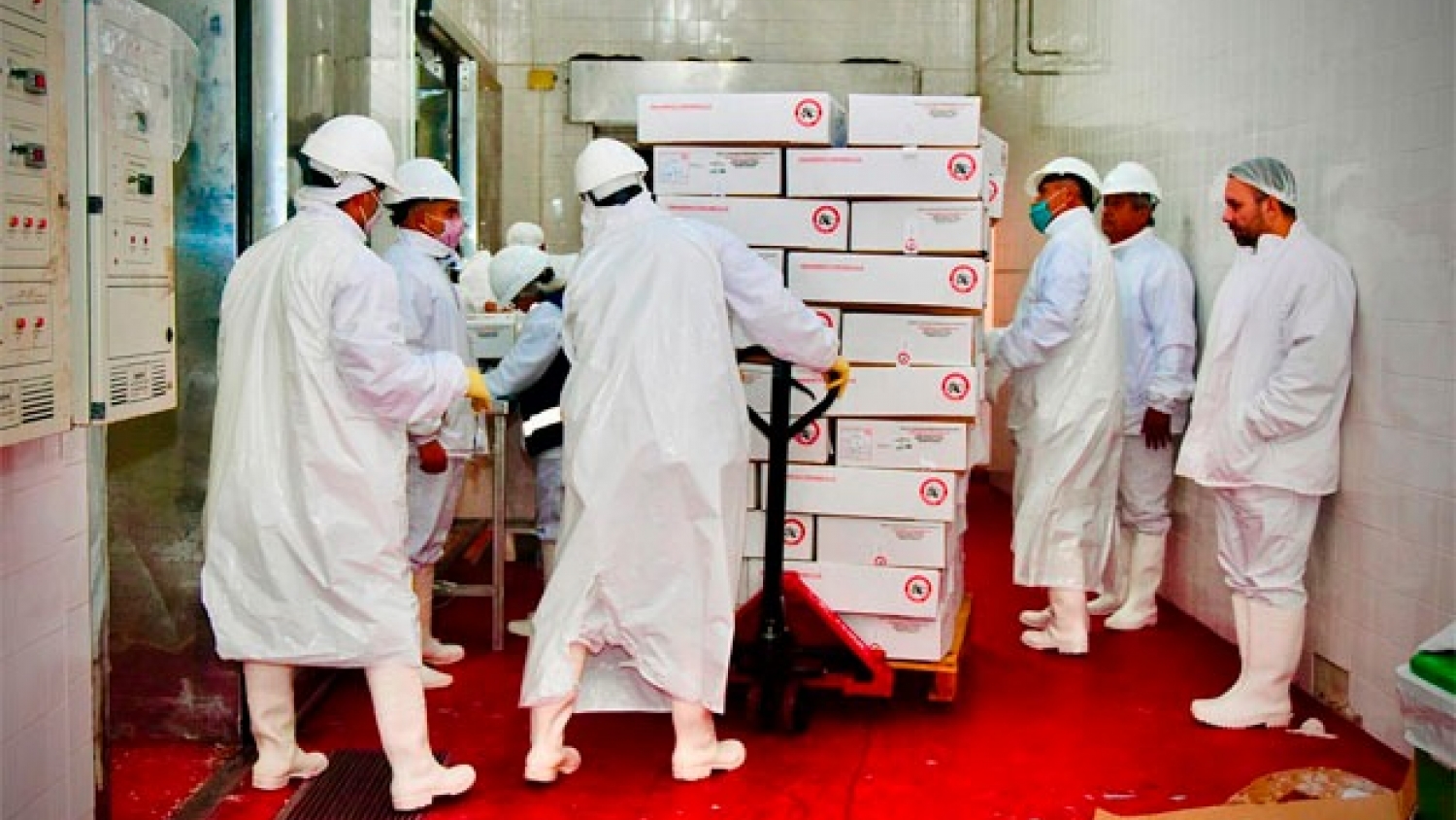 La carne caprina argentina consolida su presencia en Arabia Saudita con un nuevo embarque