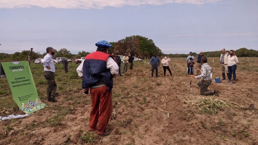 Se constituyó en Empedrado un nuevo Semillero para Pasturas
