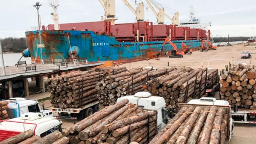 Misiones: PyMEs madereras pedirán a la Nación medidas para regular la exportación de rollos sin procesamiento