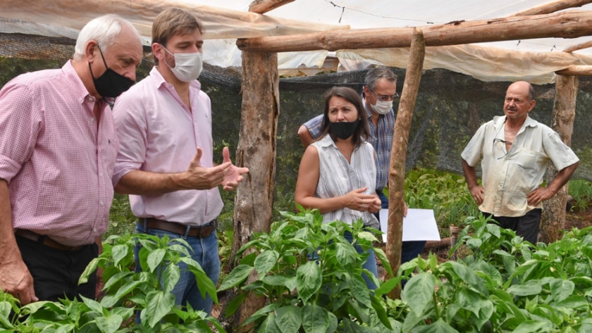Con insumos y asistencia técnica se interviene en producciones afectadas por el clima