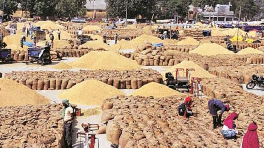 India exportará 90,000 toneladas de excedente de trigo a Afganistán, Líbano