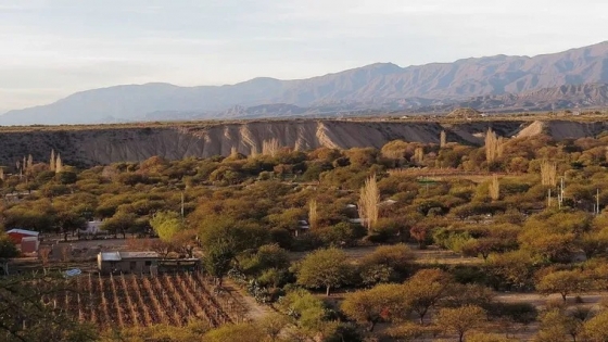 Amaicha del Valle: el pueblo tucumano donde vive la Pachamama
